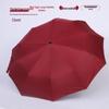 OIMG 10-Rib Automatic UV Protection Travel Umbrella
