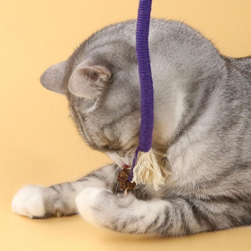 Santa Claus Holiday Dog Toy Plush Chew Toy Christmas Stocking Stuffer for Pets Small Dogs Indoor Cats