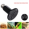 AC220-230V Ceramic Heat Emitter Light Pet Reptile Broder Lamp Bulb E26/E27 Base Holder Socket