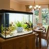 Porous Structure Fish Hiding Cave 3D Printed Shrimp Shelter  Fish Tank Landscape