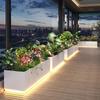 Cloud Rudder Luminous Stainless Steel Planter Box