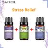 PHATOIL 3 шт., чистый растительный экстракт, эфирное масло для снятия стресса, лаванда, бергамот, мускатный шалфей, 10 мл, водорастворимое масло, освежающее воздух, облегчает тело