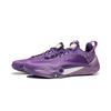 Баскетбольные кроссовки Li Ning с амортизацией, износостойкие, низкие, мужские, цвет цирконовый фиолетовый, ABAW011-11