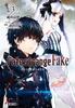 Фейк Fate/Strange (3) (Денгеки Бунко)