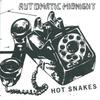 CD HOT SNAKES - Automatic Midnight SWA113 Swami Records 2002 US Rock Used