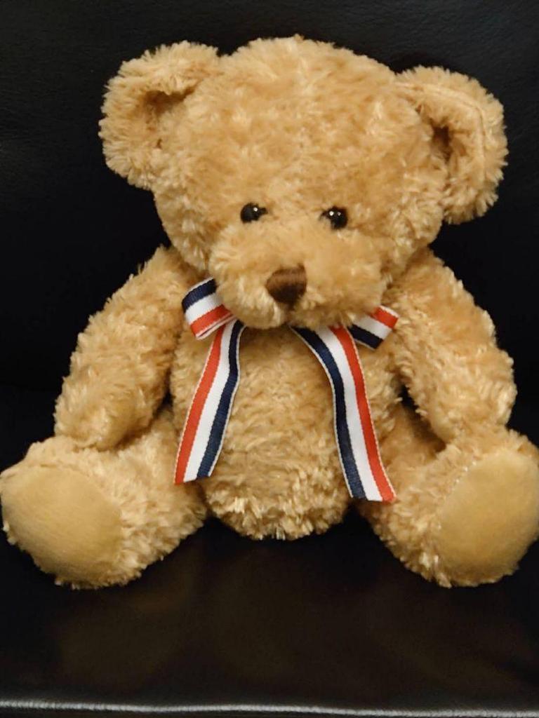 [USED] Beautiful teddy bear