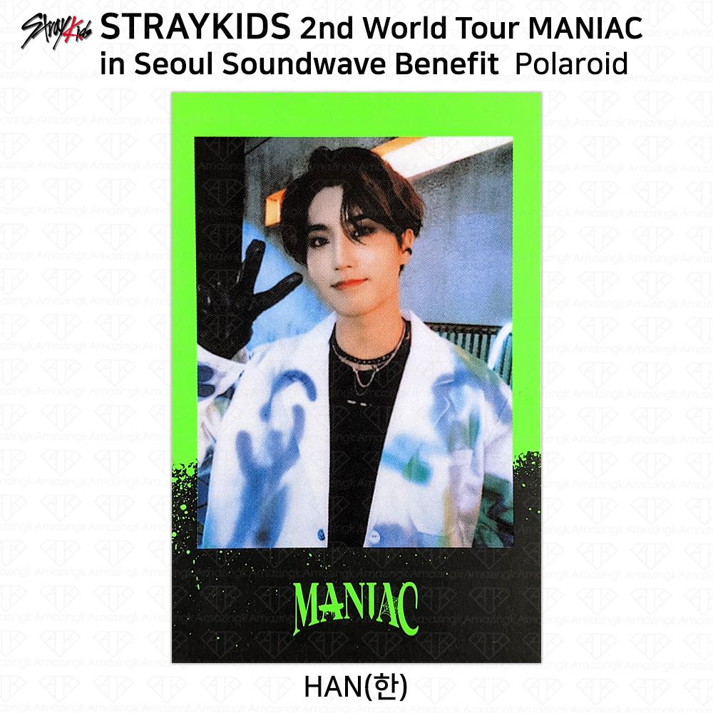 Stray Kids 2-й мировой тур MANIAC в Сеуле Фотокарточка Polaroid KPOP K-POP