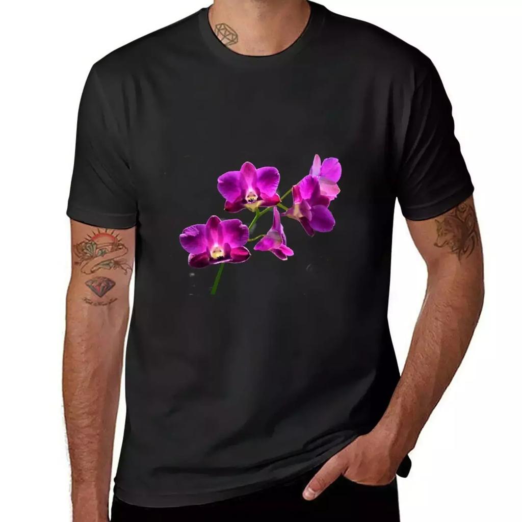 Purple Phalaenopsis (moth) orchids T-Shirt Blouse customizeds mens big and tall t shirts