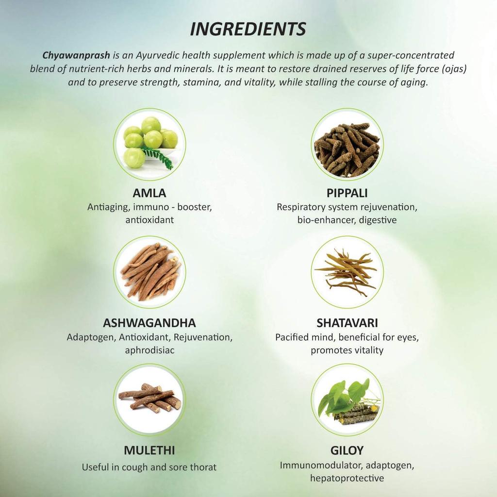 Baidyanath Чаванпраш Специальный 250 г | Растительный иммуностимулятор с чистым гхи и амлой | Поддержка ежедневной энергии и хорошего самочувствия для всех возрастов