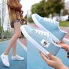 Canvas Shoes Female Flat Cloth Shoes Summer Thin Single Shoes Female Students Board Shoes