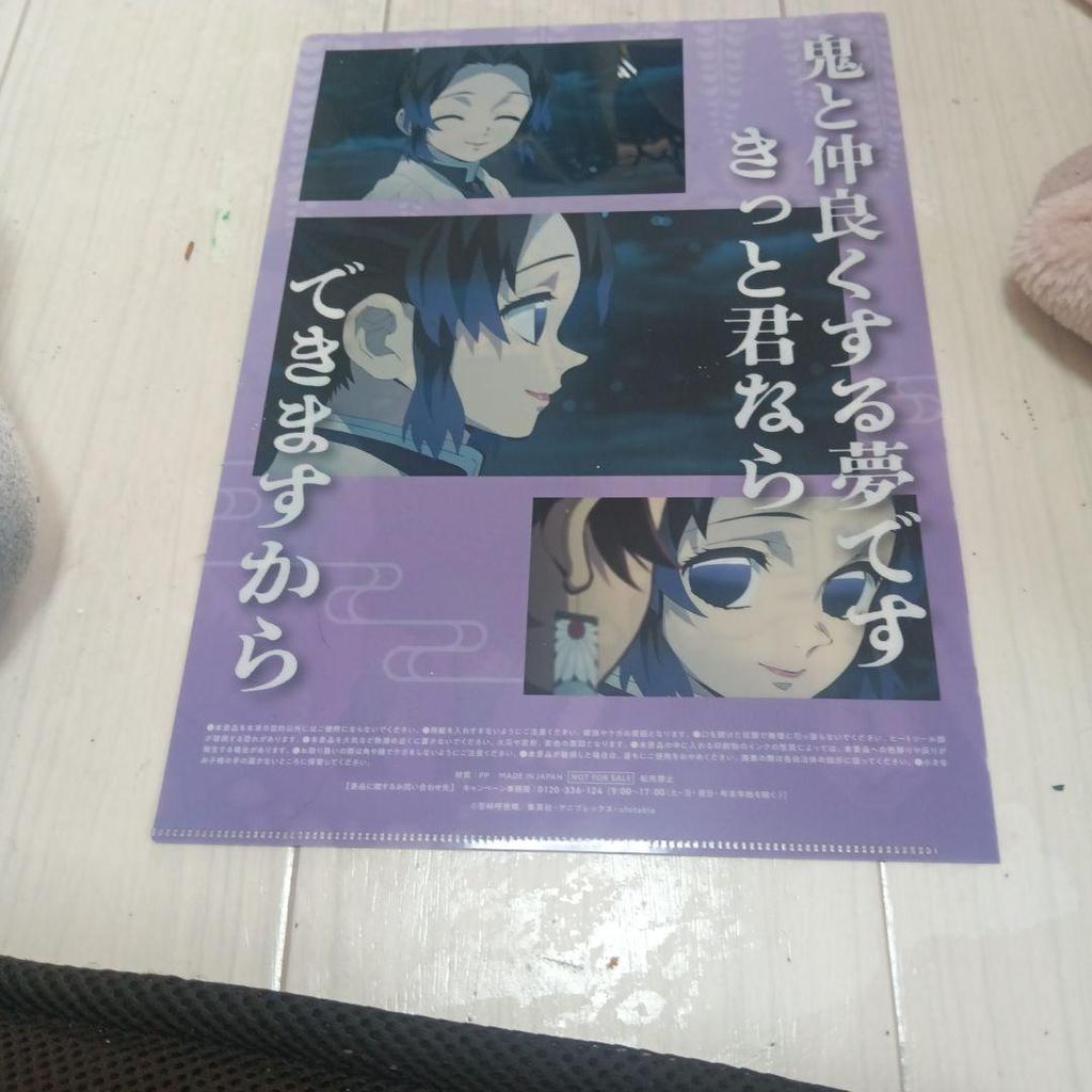 [Б/У] Прозрачный файл Синобу Кочо