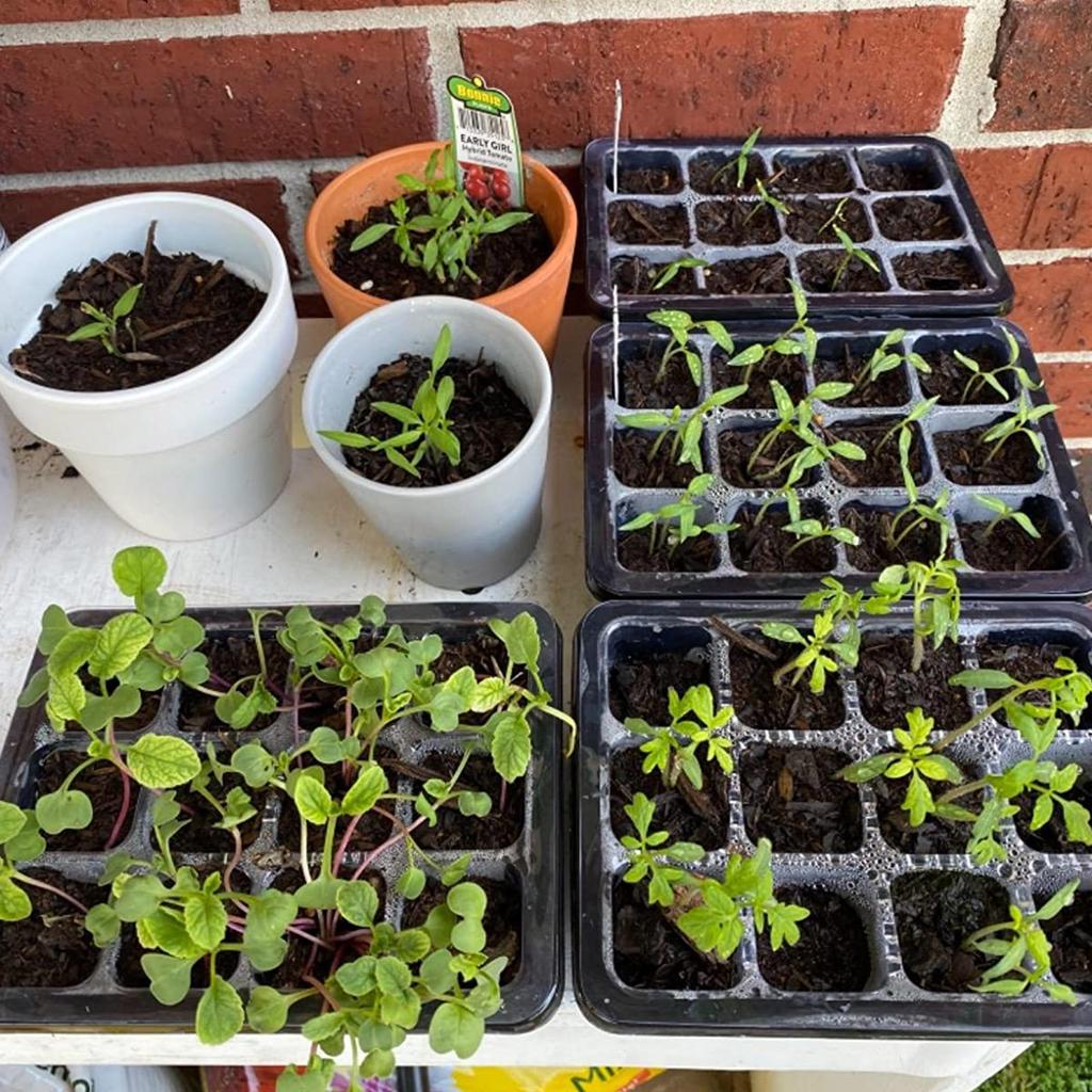 10 Set Seed Trays Seedling Starter Tray (12 Cells Per Tray)with Adjustable Dome Lids and Base Plus