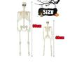New 40/90cm Halloween Skeletons Fake Full Body Skull Bones Movable Halloween Party Decor for Home Bar Haunted House Horror Props