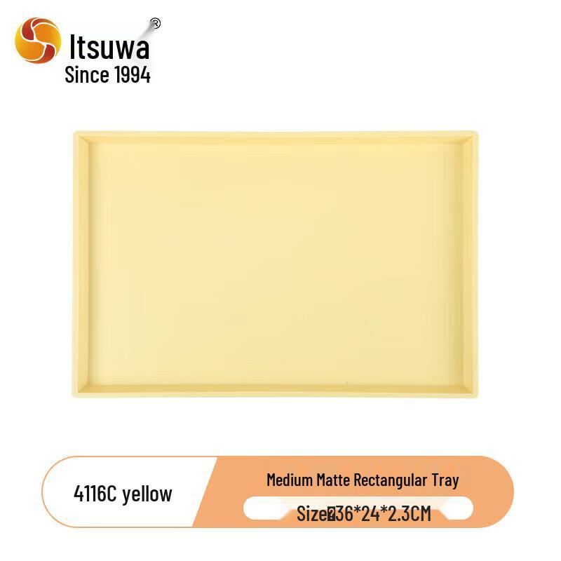 Nordic Minimalist Matte Rectangular Tray