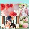 Charming 9pcs 8'' 10'' Tissue Paper Pom Poms Ball For Stylish Baby Room Decor And Celebrations