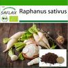 Органический - Редис - Длинная белая сосулька - 100 семян - С горшечным субстратом для лучшего выращивания - Raphanus sativus