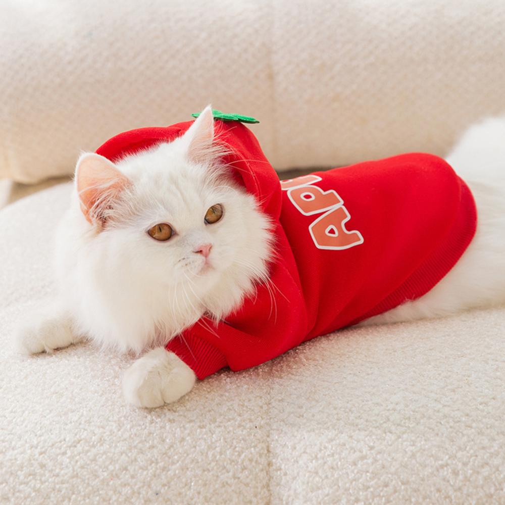 Classic Fruit Print Sphynx Cat Hoodie Sweater Autumn Winter Warm Pet Clothes for Cats Gotas Garfield Katten Dog mascotas Costume