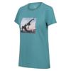 Regatta Womens/Ladies Fingal VII Uplift Yoga Pose T-Shirt