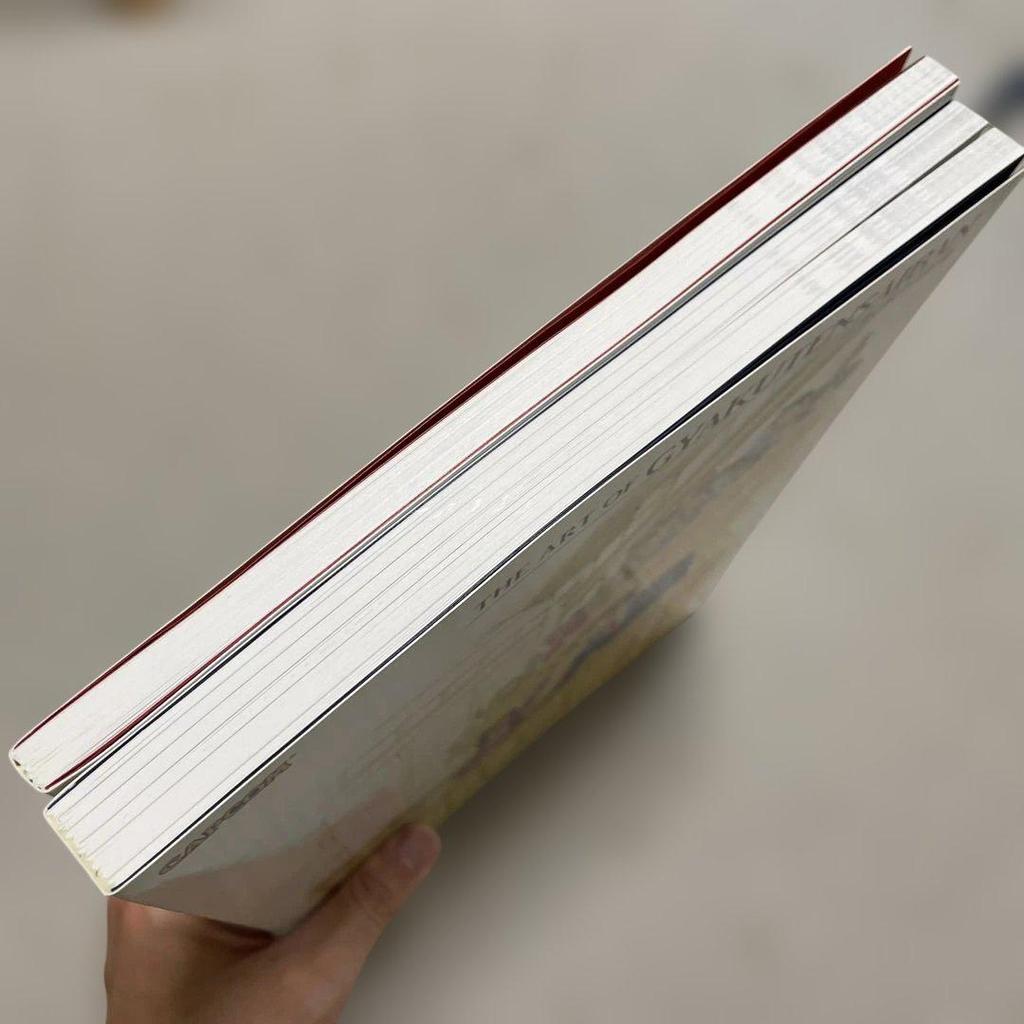 [USED] Ace Attorney Art Book: Naruhodō Edition and Odoriki Edition, 2-volume set