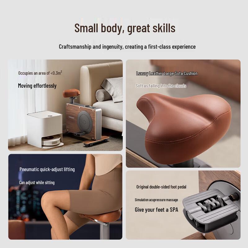 MERACH Shadow Exercise Bike CN plug (adapter included)