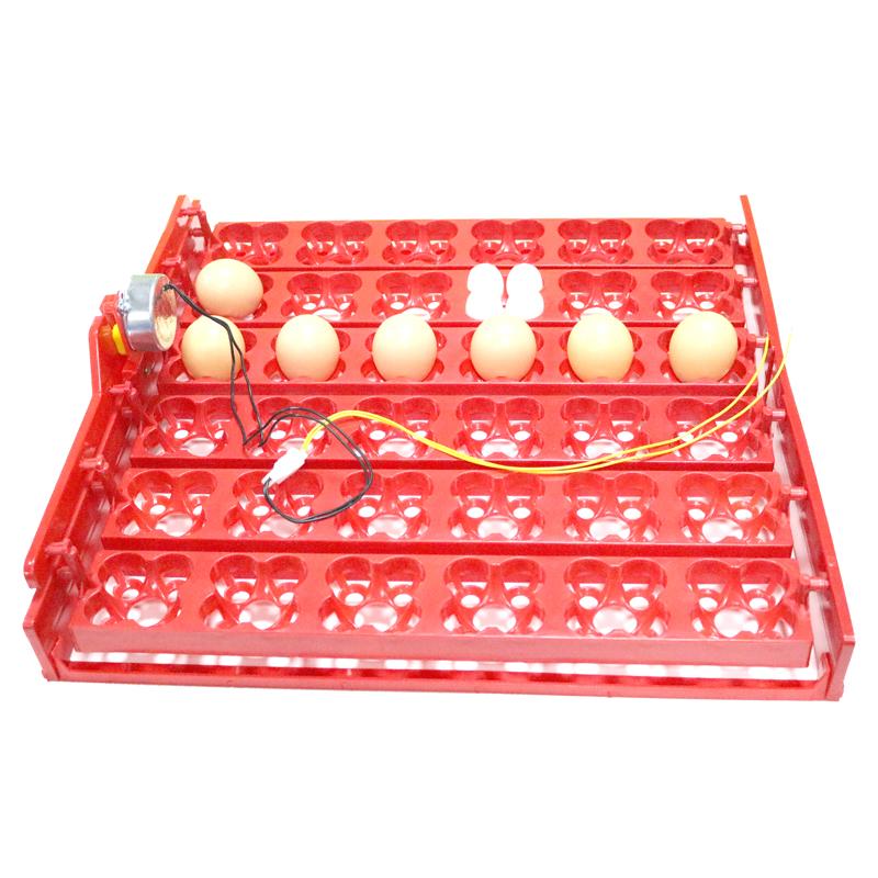 36 Eggs /144 Quail Eggs Incubator Tray Chickens 1/240 Or 2.5 r/min Ducks And Pigeons&Other Birds Parrot Quail Incubator Supplies