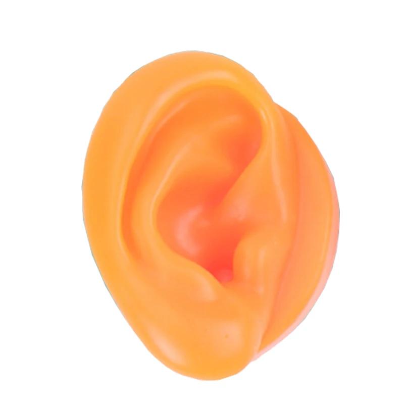 5D Силиконовая Модель Искусственного Уха, Имитирующая Настоящее, Пирсинг Сережек, Пирсинг, Пирсинг, Обучение, Слуховой Аппарат, Практика Акупунктуры, Реквизит