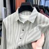 Мужская рубашка с длинным рукавом Летняя Свободный крой В полоску Лацканы