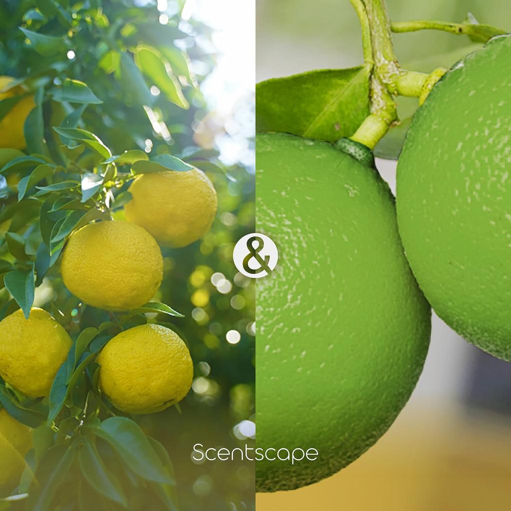 Благовония Scentscape Yuzu Bergamot 30 штук 38213 NIPPON KODO Сделано в Японии и