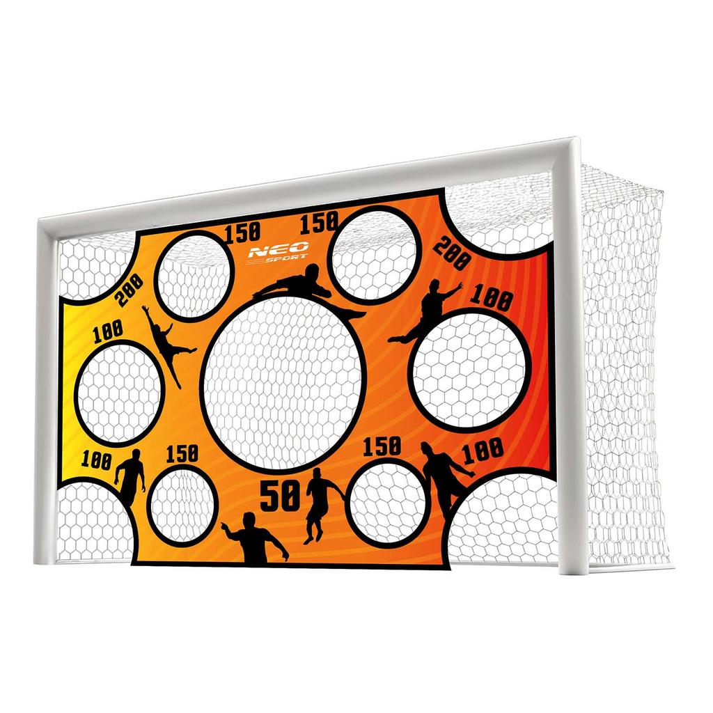 Neo-Sport Goal Accuracy Net 300 X