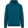 Native Spirit Unisex Adult Oversized Hoodie