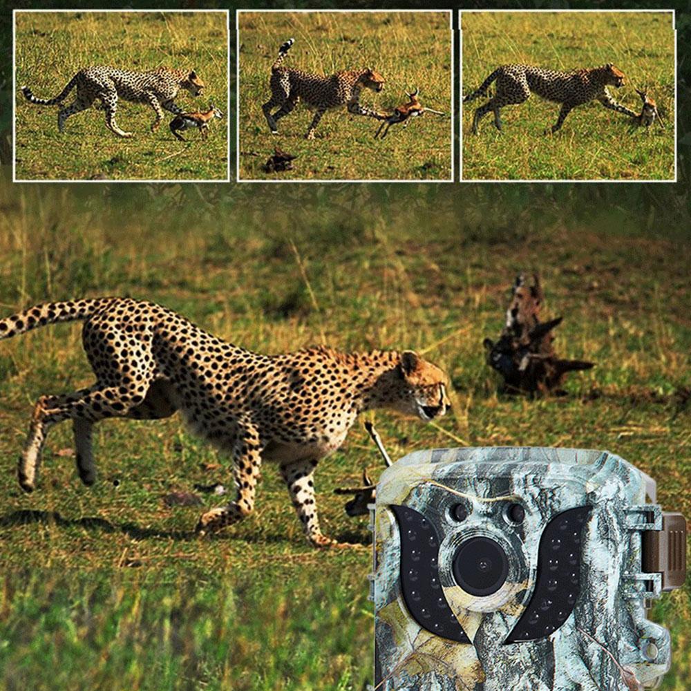 DL005 Мини камера для охоты HD 16MP 1080P инфракрасное ночное видение водонепроницаемая камера для наблюдения за дикой природой для мониторинга животных