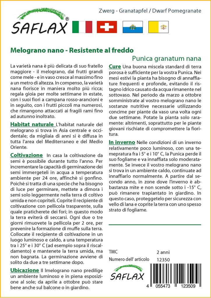 SAFLAX Карликовый гранат - 50 семян - С горшечным субстратом для лучшего выращивания - Punica granatum nana