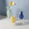 Стеклянная ваза Украшение Домашние горшки Украшение стола и аксессуары Растительный горшок Цветочная ваза Декор Украшения Предметы Вазы Бутылка для комнаты
