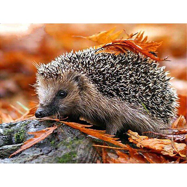 DIY 5D Алмазная картина Ежик Грибная корзина Вышивка крестиком Полный круглый Алмазная вышивка