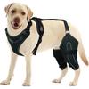 Dog ACL Knee Rehabilitation Brace, Leg Tear Auxiliary Fixation Strap, Joint Pain Relief