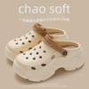 Summer Beach Shoes: Thick-Soled Hole Shoes for Women & Men, Perfect for Indoor and Outdoor Wear