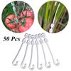 Пластиковые зажимы для растений, зажимы для помидоров черри, крючки для овощей, лозы, фиксированные зажимы, инструменты для украшения сада