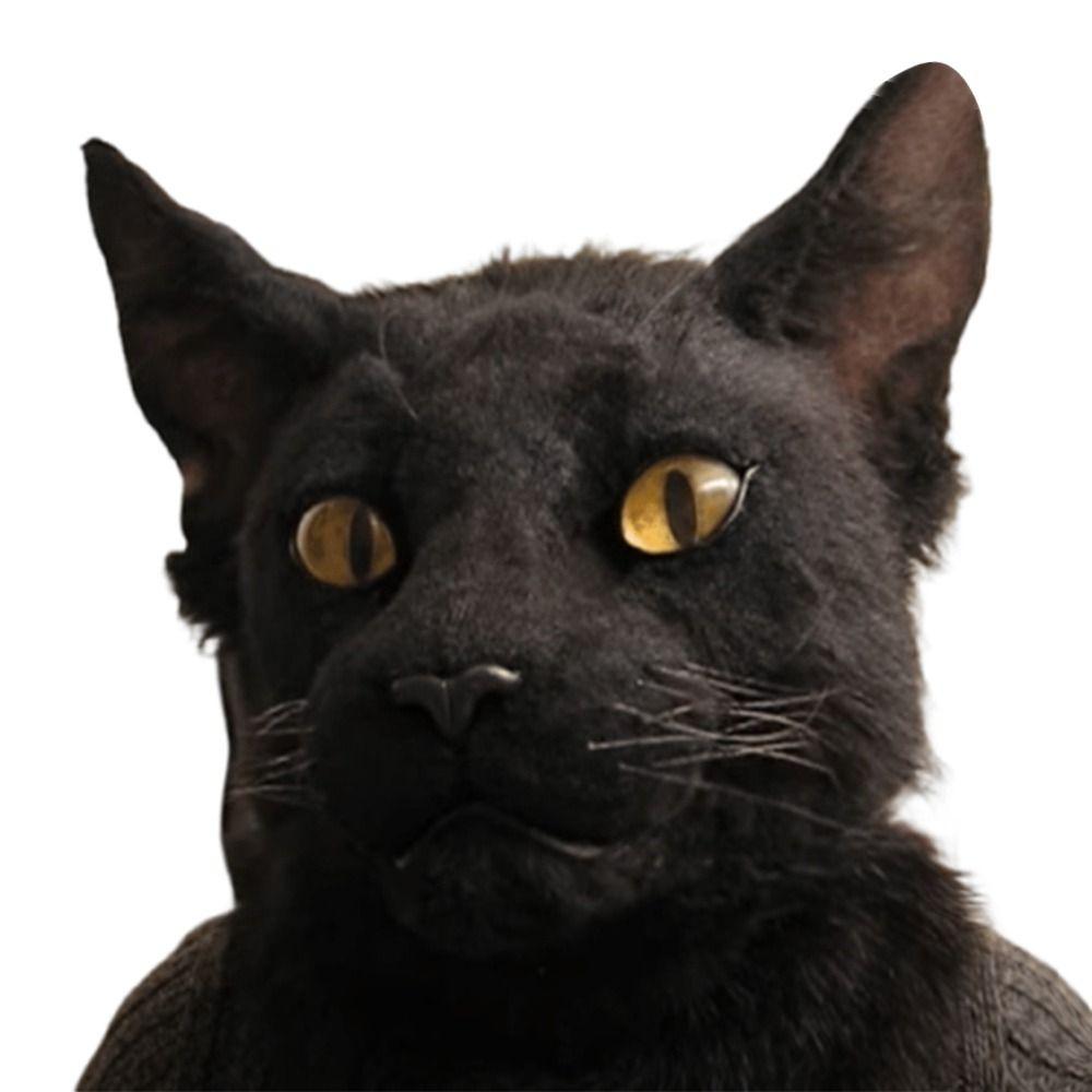 Venetian Party Eagle Mask Carnival Party Wolf Mask Fashion Halloween Hood Mask  Party Makeup Ball