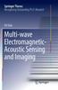 Книга Multi-wave Electromagnetic-Acoustic Sensing and Imaging