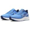 Nike Air Zoom Pegasus 39 X Nfl 'Tennessee Titans' DR2063-400