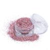 Polyester Holographic Laser Glitter Bulk High Sparkly Extra Fine Glitter for Tumblers Crafts Christmas Holiday