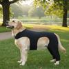 Adjustable Dog Leg Rehabilitation Suit Breathable Dog Knee Brace  Wound Protection