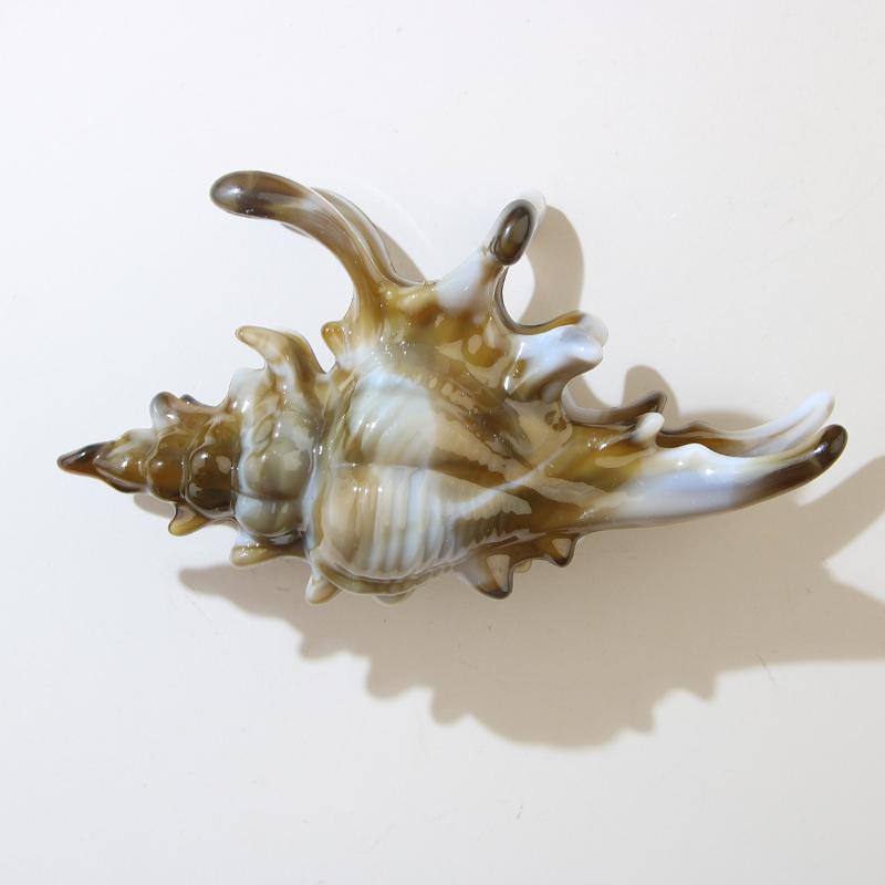 1 шт. Зажим-акула, заколка для волос в виде раскрашенной раковины, красочный аксессуар, обязательный для летних пляжных причесок