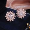 Light Luxury Style Full of Diamonds White Diamonds Snowflake Earrings Womens Ear Buckles Versatile Temperament