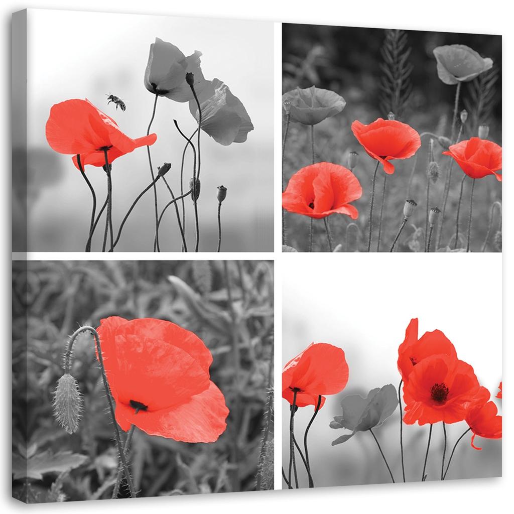 Canvas print, Set of red poppies