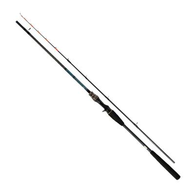 Daiwa Удилище для рыбалки Tenya Tachiuo X Fishing Rod 200/R
