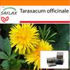 Garden in the Bag - Одуванчик - 200 семян - С субстратом в подходящем пакете - Taraxacum officinale