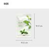 Daiso Essential Mask Sheet Green Tea