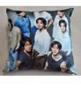 Double-sided Square Cushion 30cm (Random Image, Removable Cover)