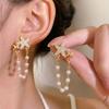 Изысканные серьги-подвески со звездой из хрустального циркона, ракушкой и имитацией жемчуга для женщин, серьги-подвески в стиле бохо с жемчужной кисточкой, пляжные украшения